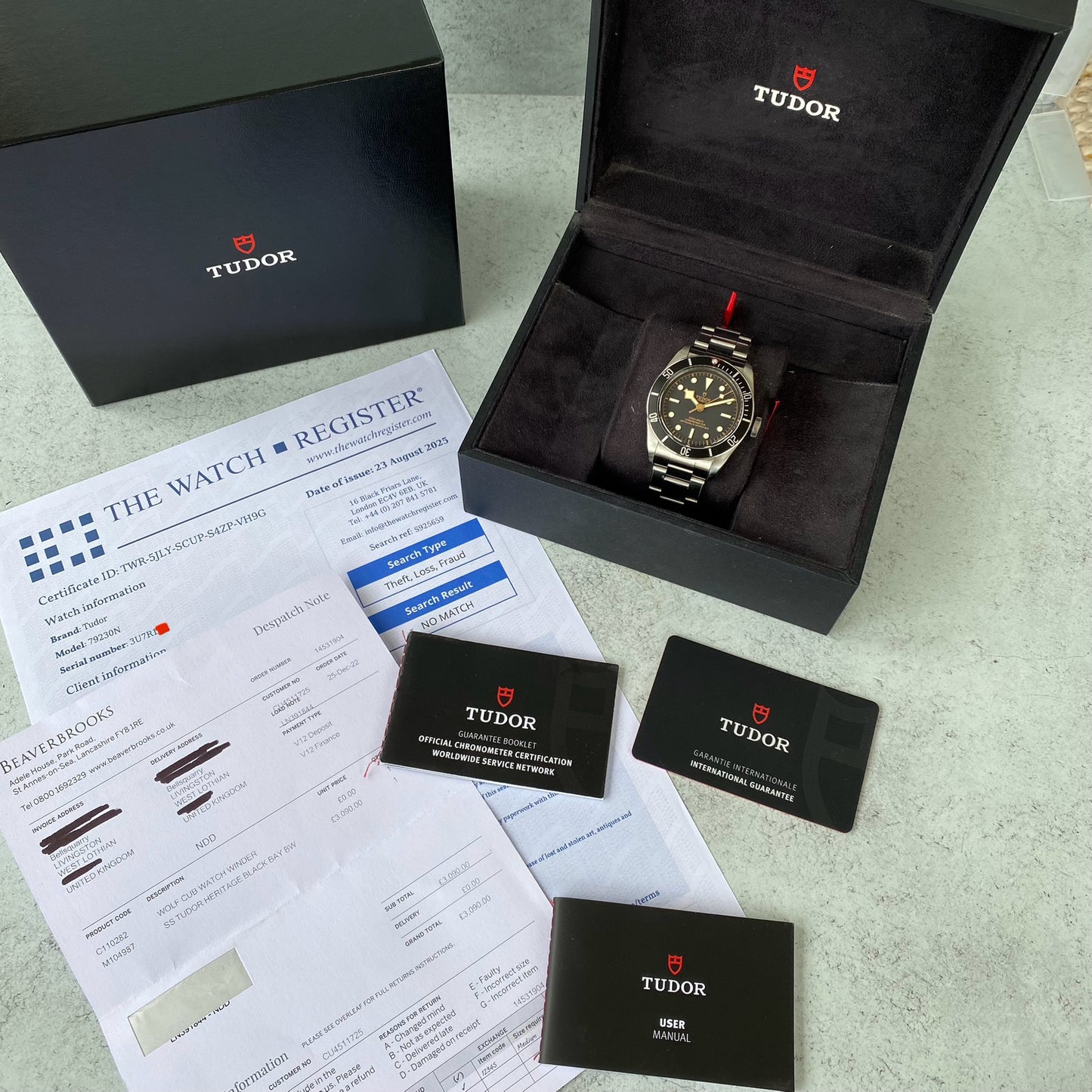 Tudor Heritage Black Bay 79230N Gilt Dial 41mm Watch - Showcase