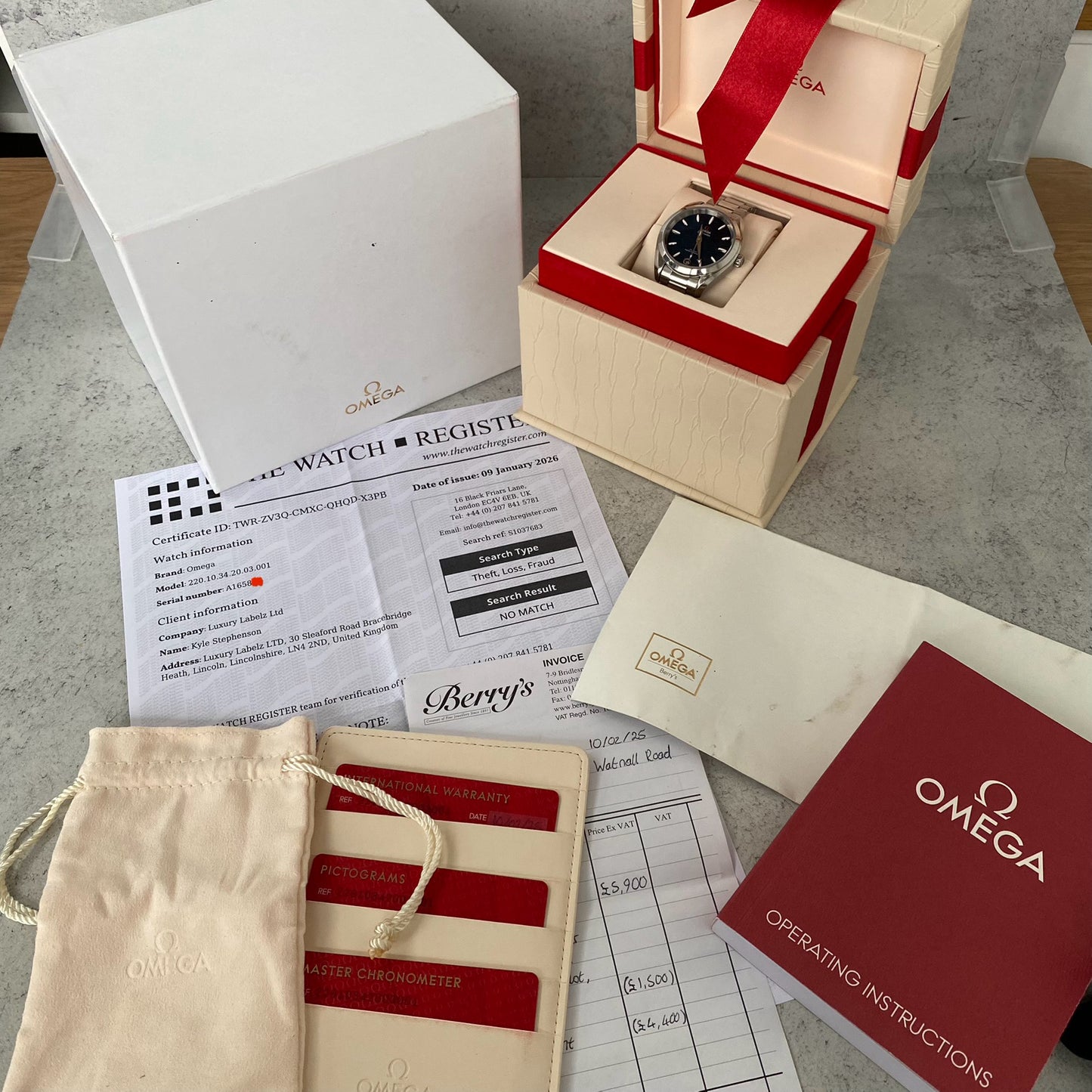 Ladies Omega Seamaster Aqua Terra 220.10.34.20.03.001 Watch - Showcase