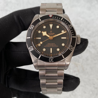 Tudor Heritage Black Bay 79230N Gilt Dial 41mm Watch