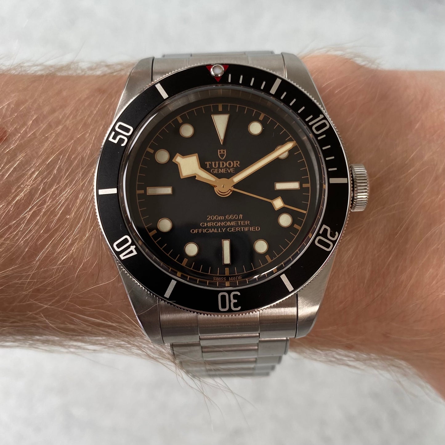 Tudor Heritage Black Bay 79230N Gilt Dial 41mm Watch
