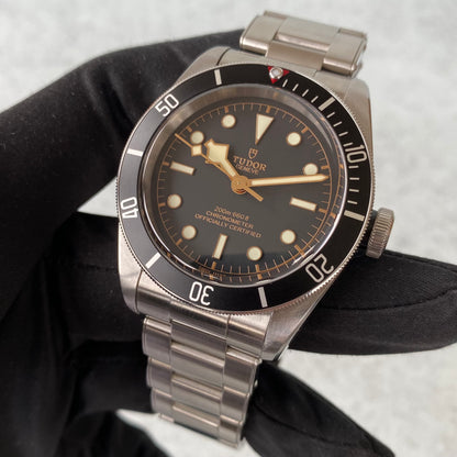 Tudor Heritage Black Bay 79230N Gilt Dial 41mm Watch